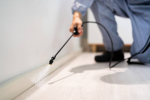 Certified termite inspector examining foundation in Franklinville